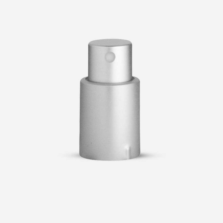 Pompe Spray Euro5 Argent Mat Dose130