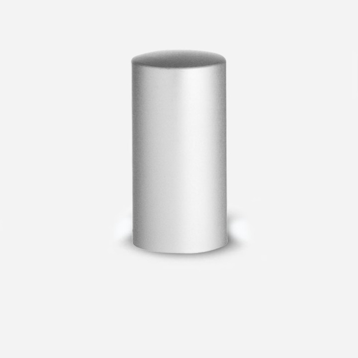 Capot Argent mat pour Pompe Spray 18-415 Argent Mat